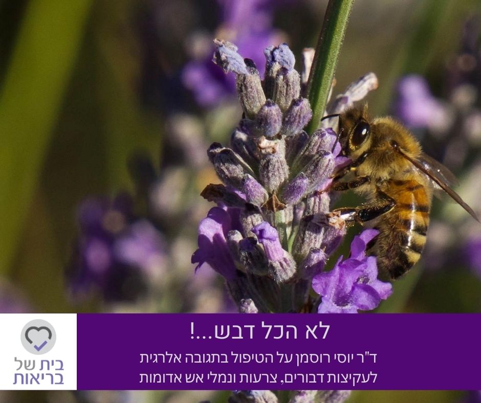איך נתמודד עם תגובה אלרגית לעקיצות / ד"ר יוסי רוסמן